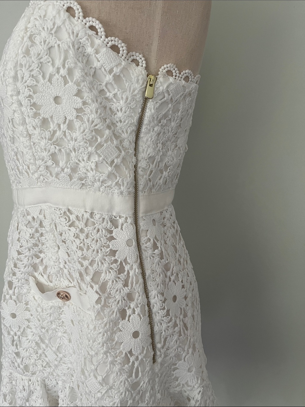 Saylor Verena Lace Mini Dress - Picture 7 of 11